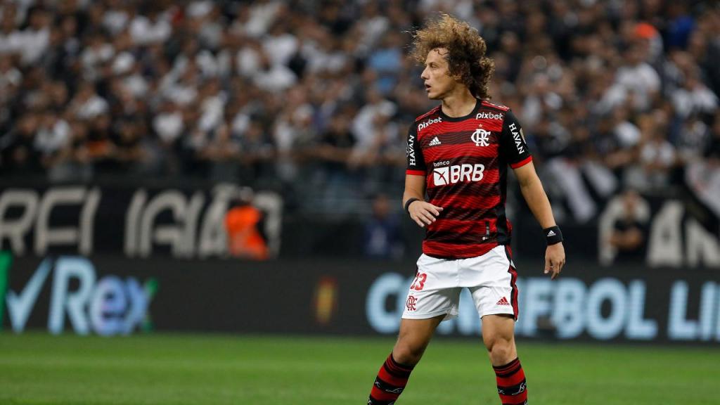 David Luiz on the pitch for Mengão